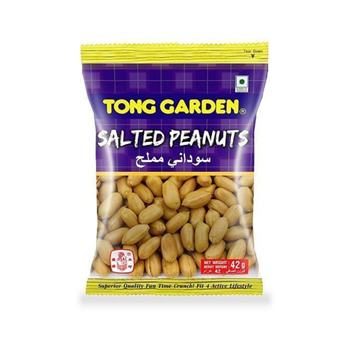 Tong Garden SALTED PEANUTS 42 GM